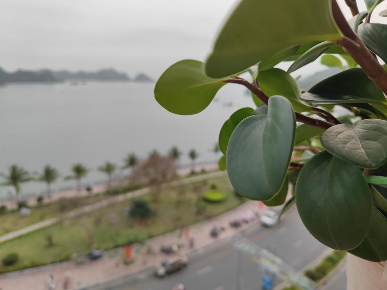 Star Hotel Cat Ba Island Exterior foto